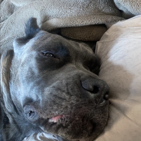 PLEASE READ! - Picture 4 of 5